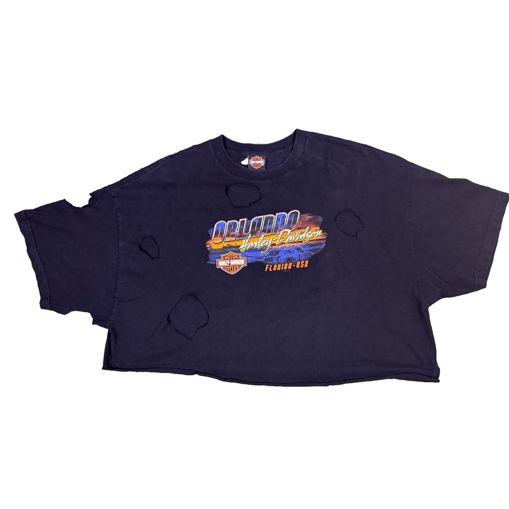 Harley-Davidson Womens Oversized Distressed Graphic Print Logo cropped Tee Read!